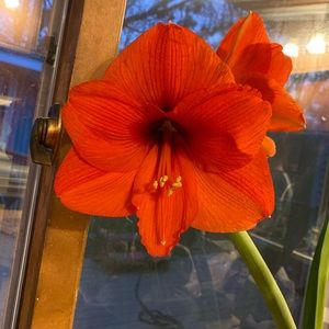 Meet your Posher, Seth